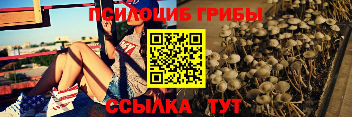 Галлюциногенные грибы MAGIC MUSHROOMS Котельники