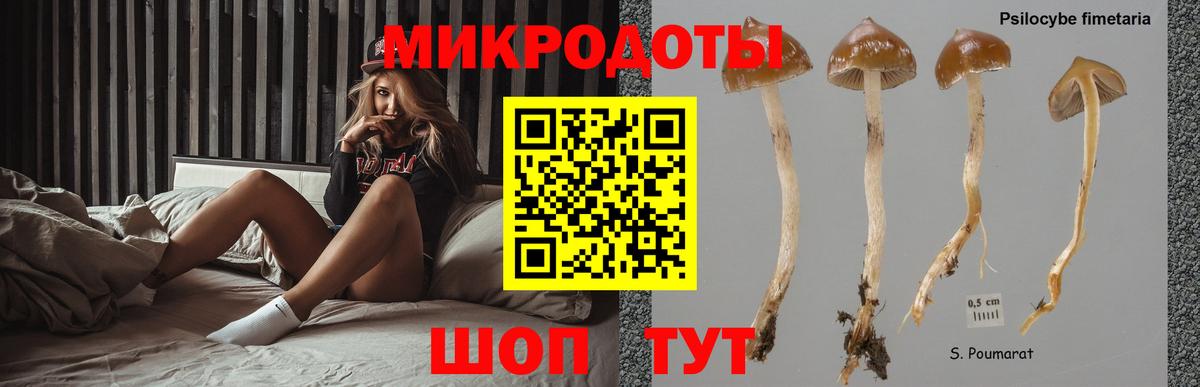 Котельники  Галлюциногенные грибы Psilocybine cubensis  Вход с VPN 
