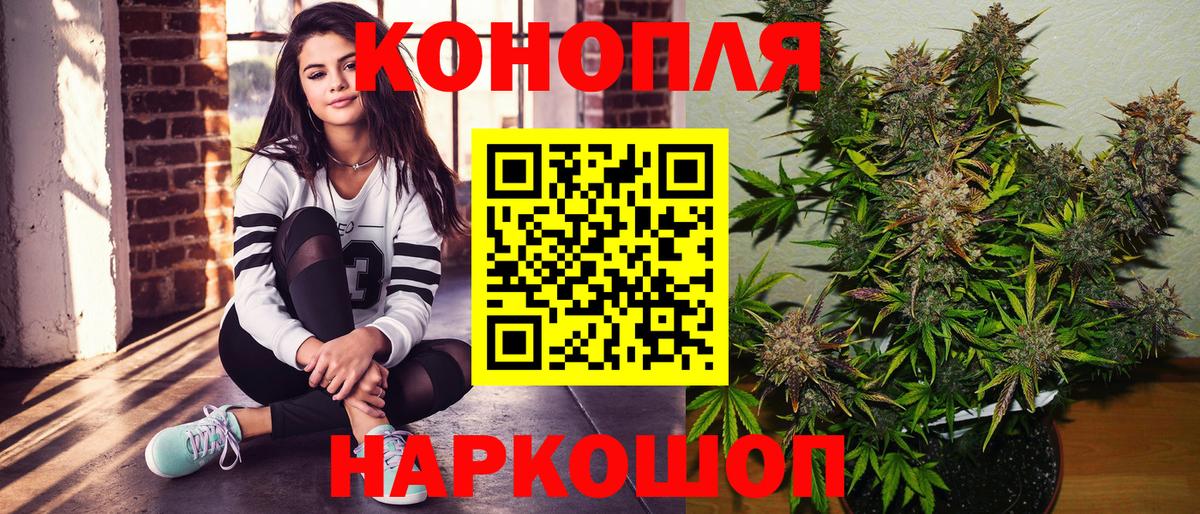 Бошки Шишки планчик Котельники
